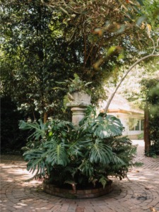 Jardines y zonas verdes de El Retiro de San Juan para matrimonios, eventos sociales y empresariales en Bogotá